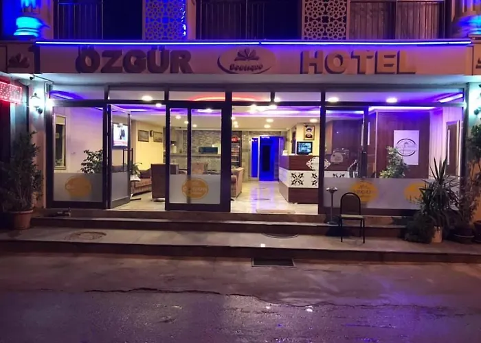 Özgür